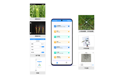阳泉市小麦表型检测仪IN-XM04