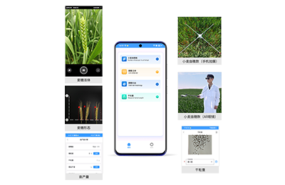 阳泉市小麦亩穗数分析仪IN-XM02